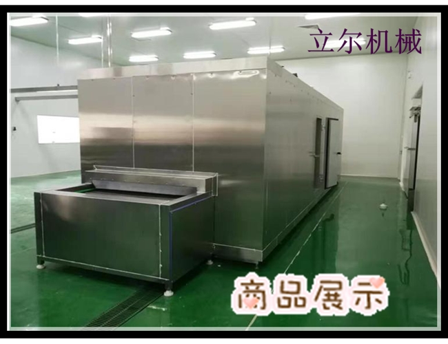 水餃湯圓隧道式速凍機(jī) 
